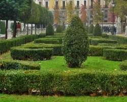 It also has a surrounding garden with beautiful fo It also has a surrounding garden with beautiful fountains, statues, and greenery all around where the visitors can relax after a tiring trip to the pa